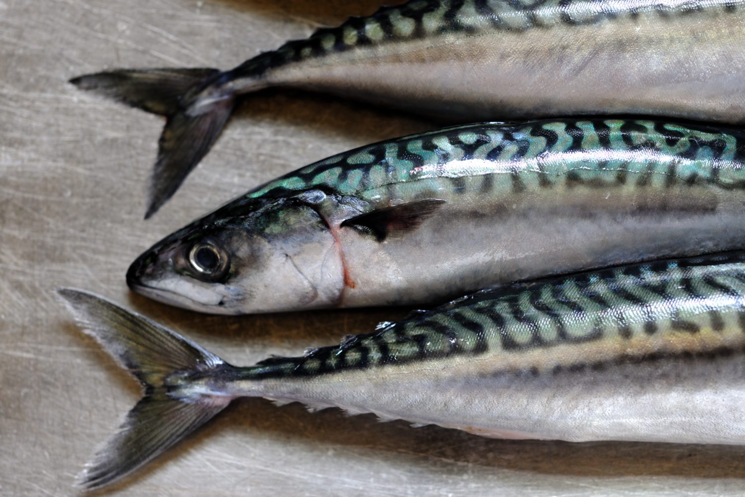 Reggies Whole Mackerel 1KG