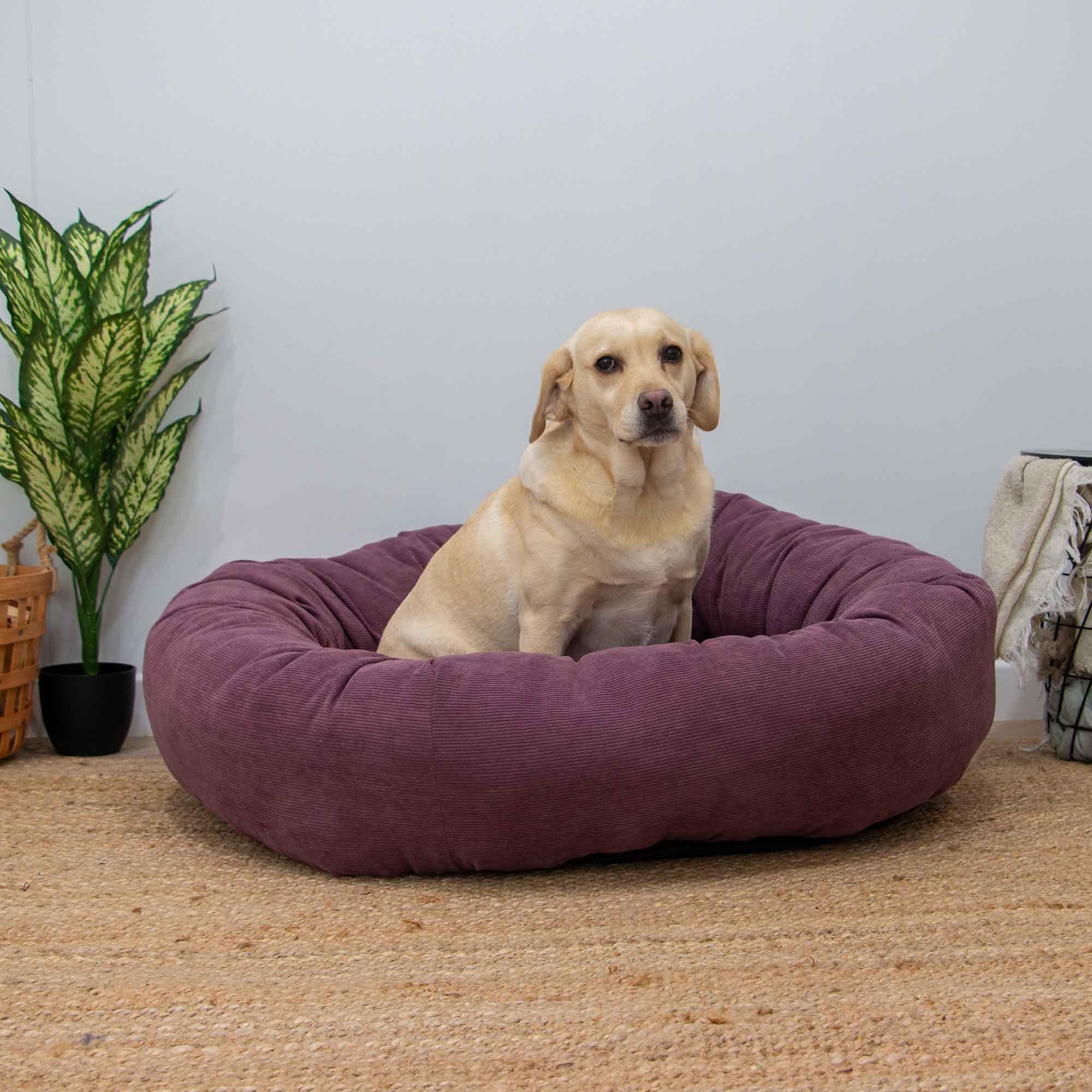 Corduroy Donut Dog Bed (Plum) 70cm Or 100cm - Image 5