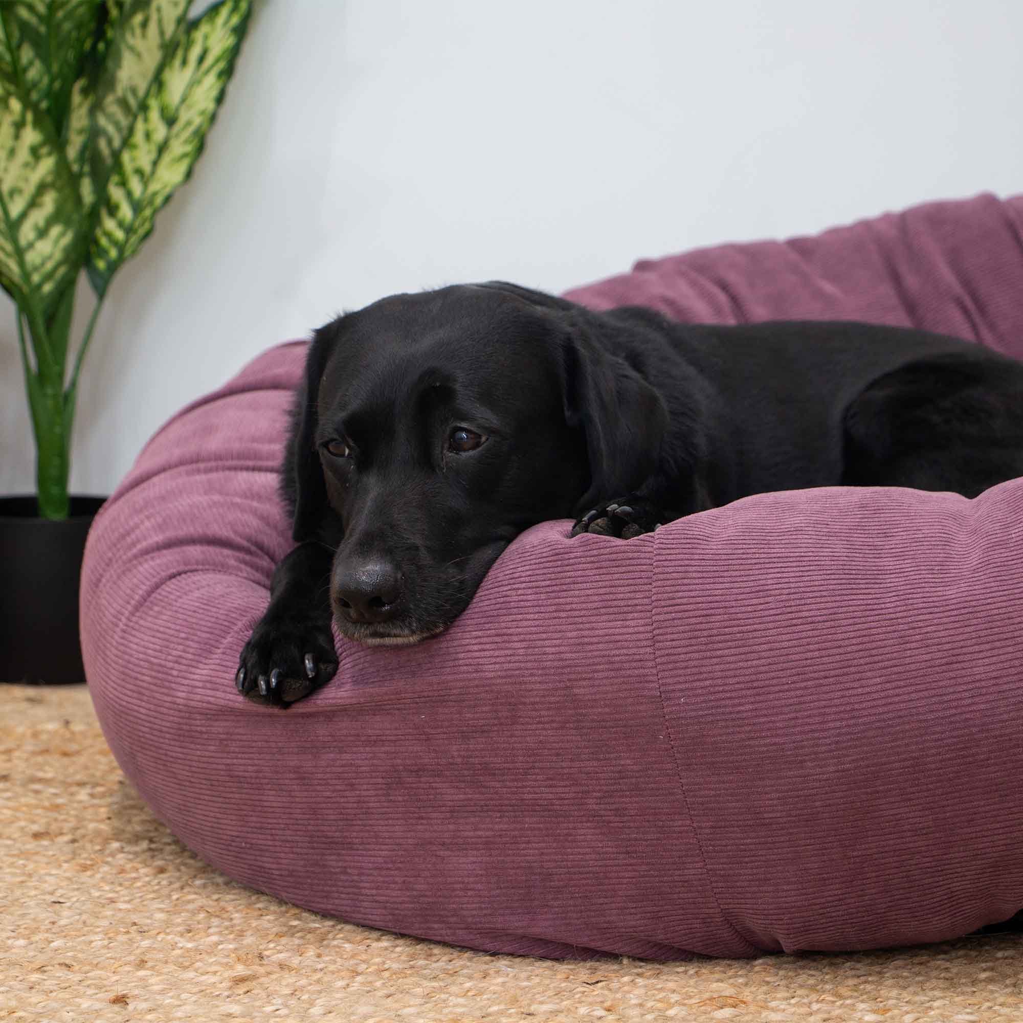 Corduroy Donut Dog Bed (Plum) 70cm Or 100cm - Image 4