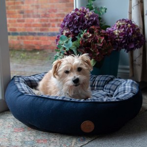 Blue and Grey Tartan Donut Dog Bed 70cm