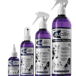 Leucillin - Anti-Bacterial, Anti-Viral & Anti-Fungal Spray