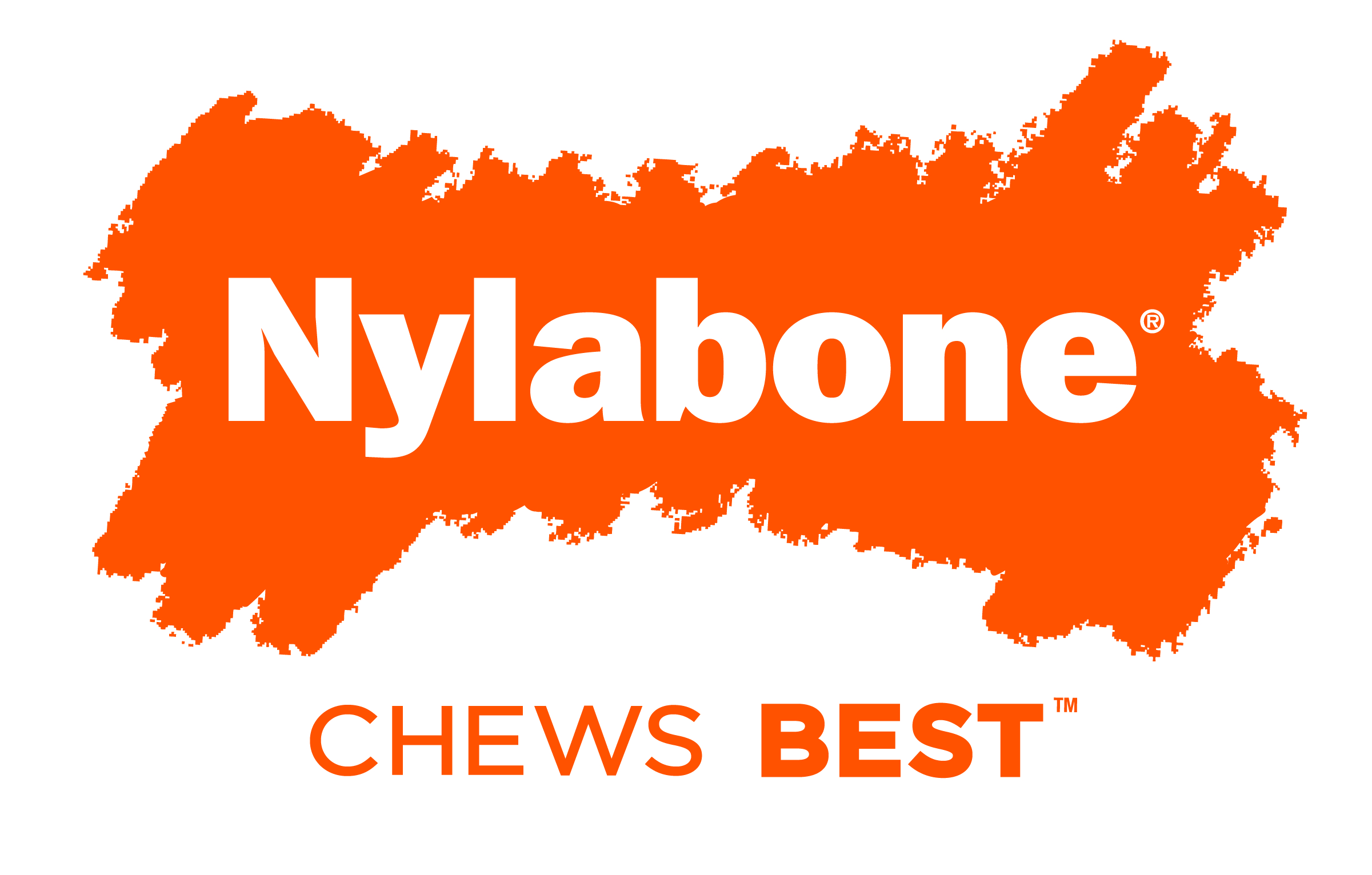 NYLABONE STRONG CHEW BACON CHEESEBURGER MEDIUM - Image 4