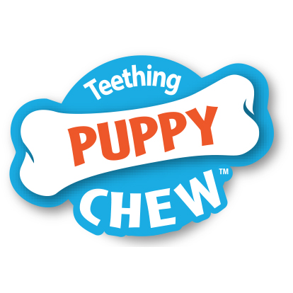 NYLABONE PUPPY STARTER KIT SMALL - Image 4