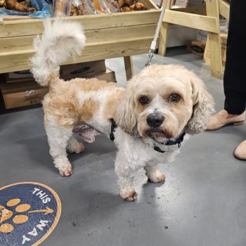 0f35868f-8ff7-4c3a-a0f9-5dbdb57355d3 2