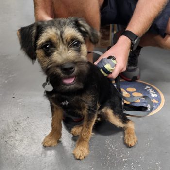 104203eb-6314-4529-9695-a57886e44d17 2