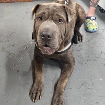 11db729b-f9e5-496d-8b7d-4ee85abf5c79 2