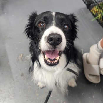 2d4bea34-4e0d-4187-8db2-503c1e319c3b