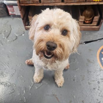 4cec7632-fa88-468e-a434-d7b25cb7a1ee 2