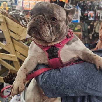 5cd1dc20-9f3a-4487-9c92-1f7db062815f 2