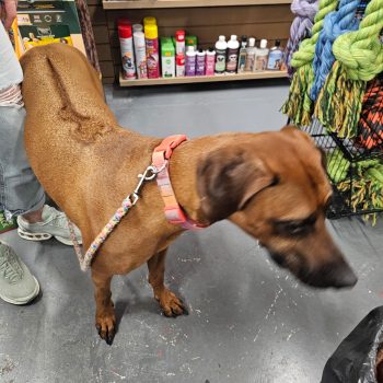 685b319e-8647-40d5-b77f-0b2ce7c450e7 2