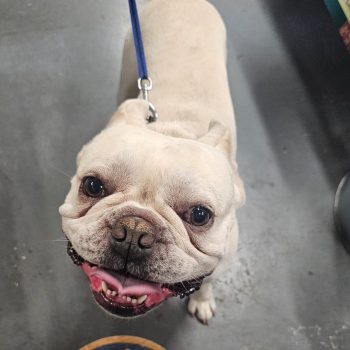 e92c4182-89c1-4700-9547-6939d7384762