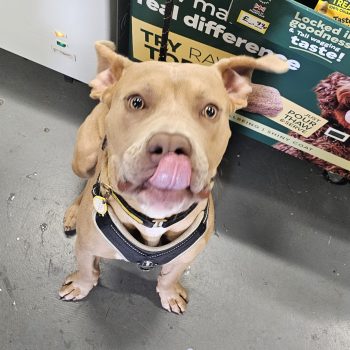 ee2b3bea-5b45-4184-bae3-0eb14c4f6072